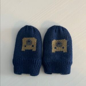 The North Face baby mittens in blue and brown